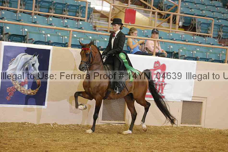 Proof 14yn_04639
