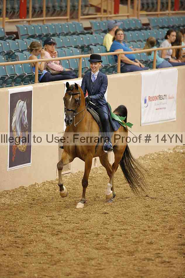 Proof 14yn_04650