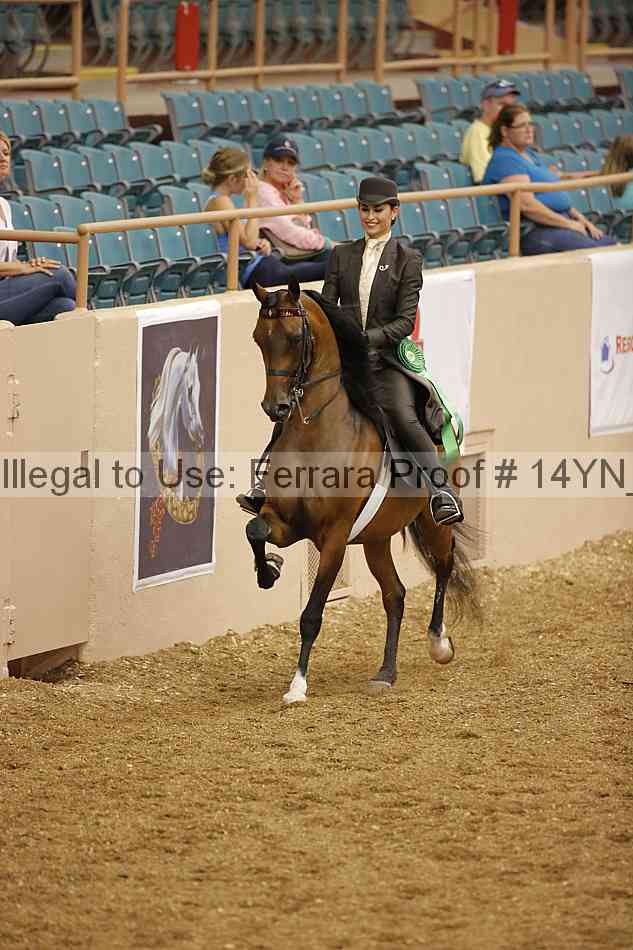 Proof 14yn_04652