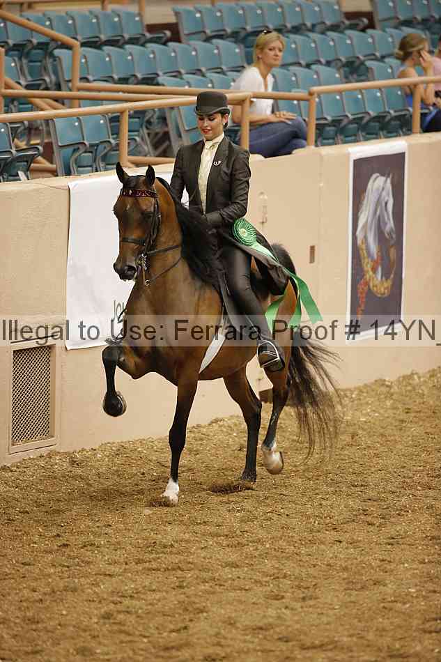 Proof 14yn_04653