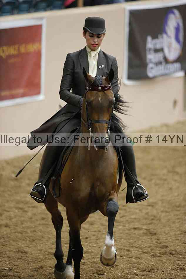 Proof 14yn_04654