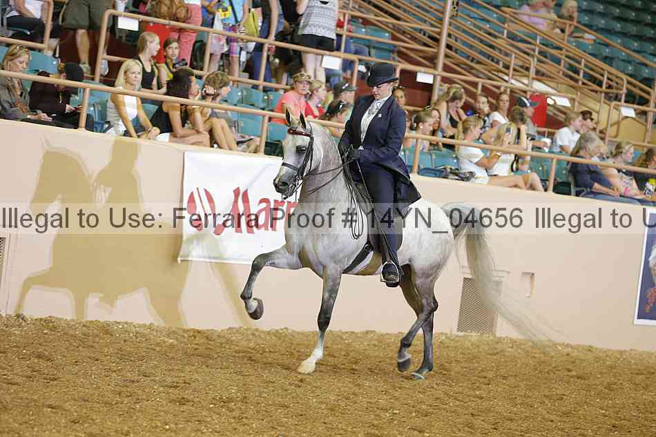 Proof 14yn_04656
