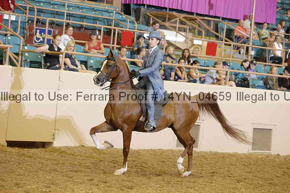 Proof 14yn_04659