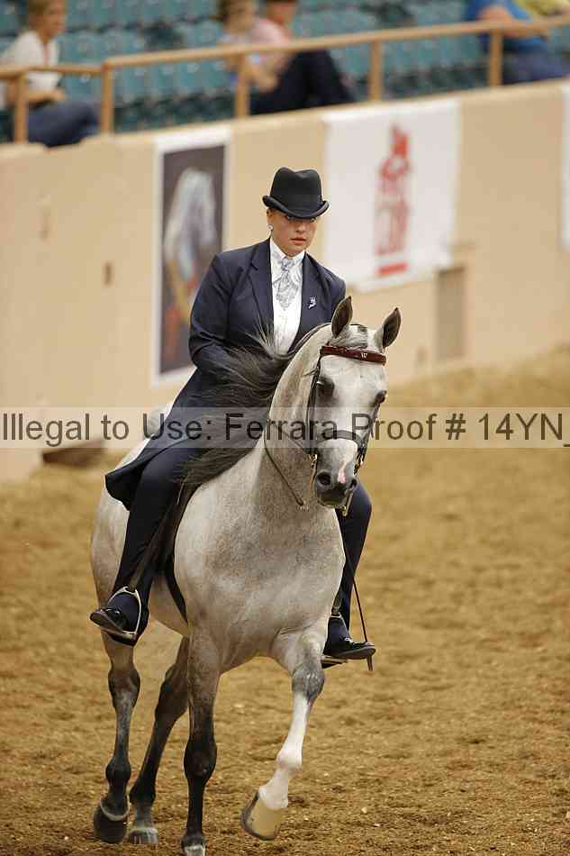 Proof 14yn_04660