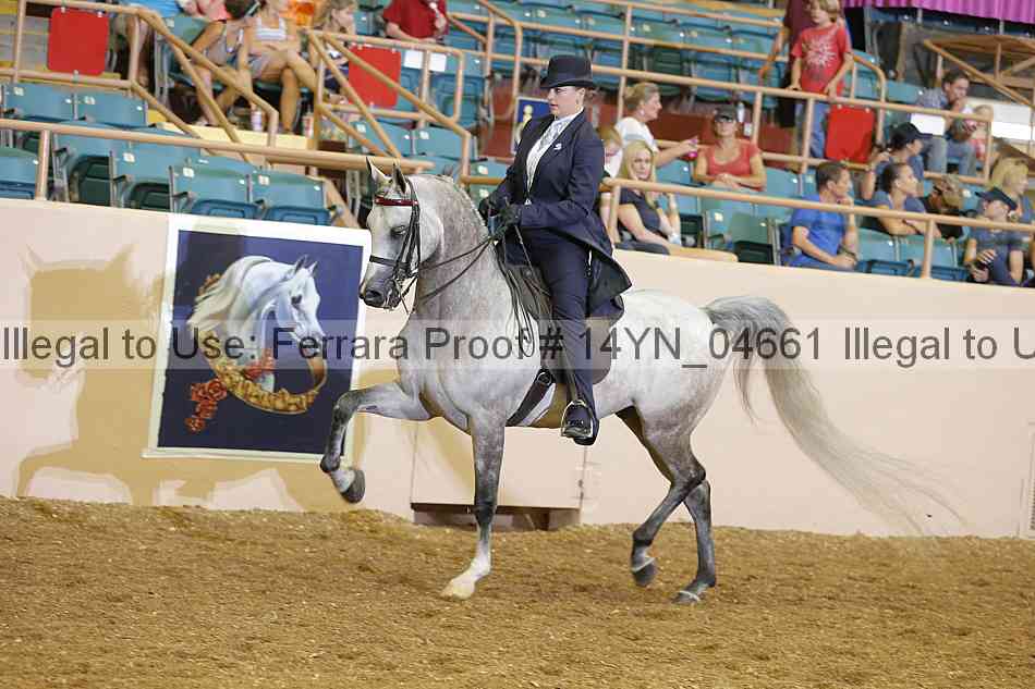 Proof 14yn_04661