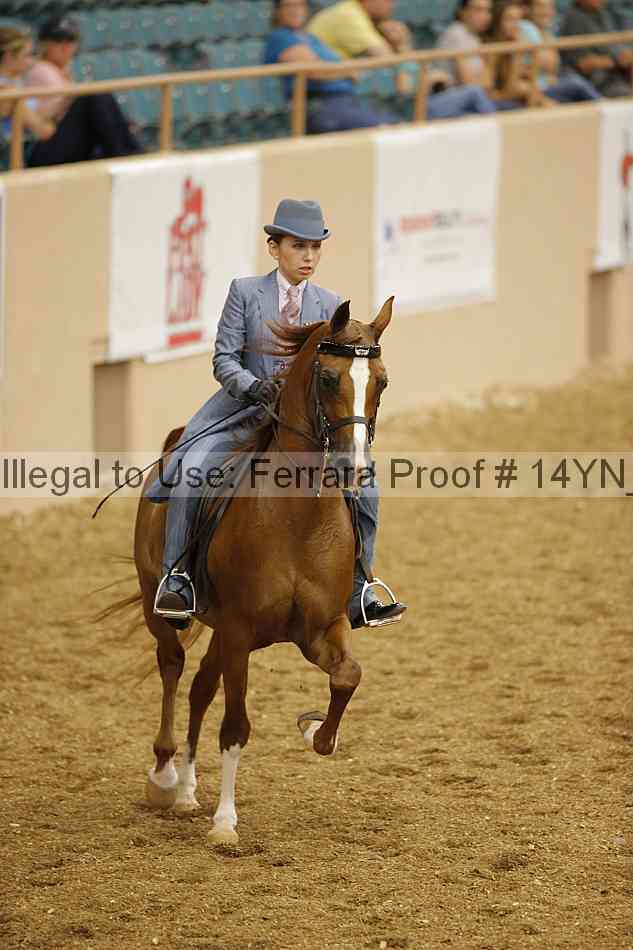 Proof 14yn_04662