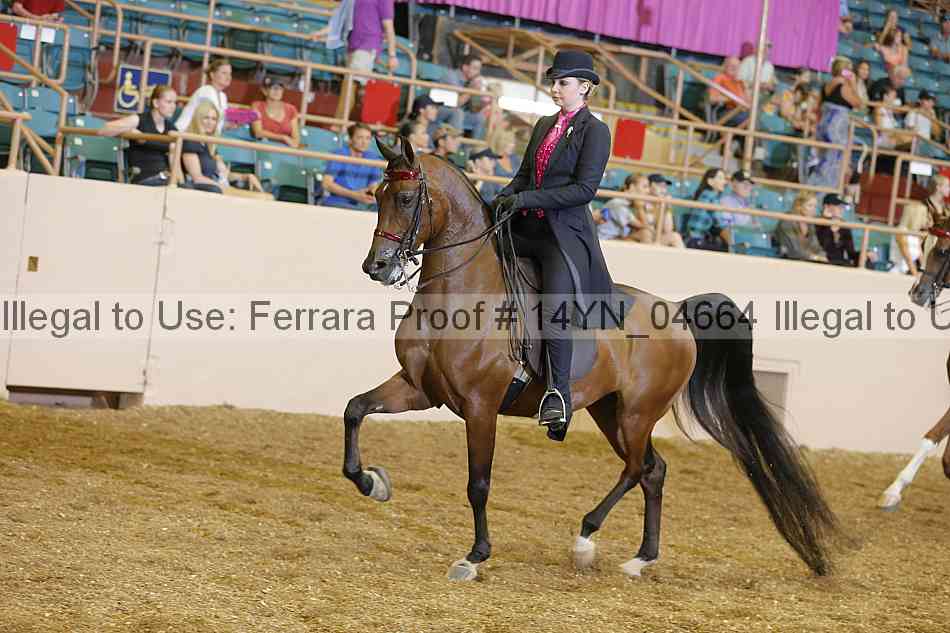 Proof 14yn_04664