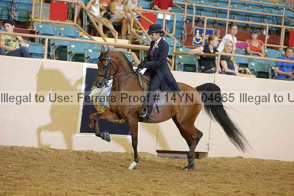 Proof 14yn_04665