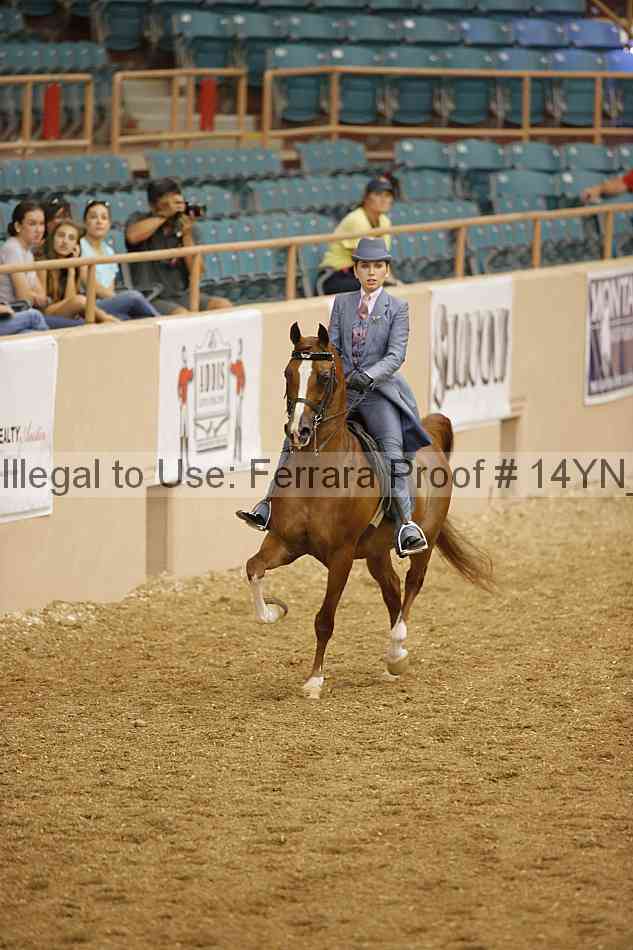 Proof 14yn_04667
