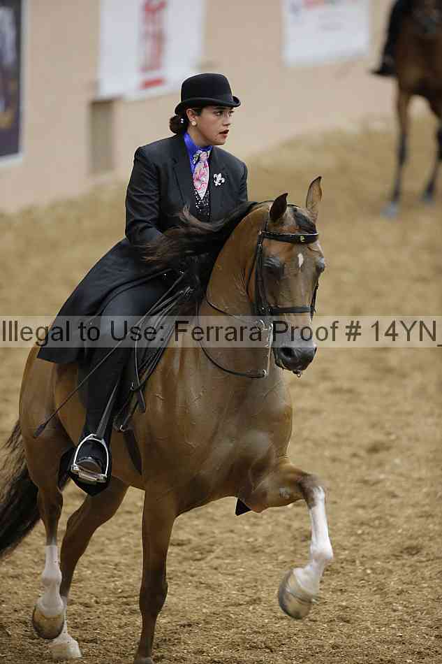 Proof 14yn_04673