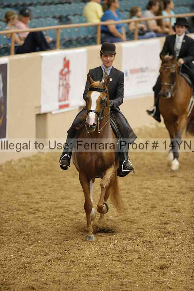 Proof 14yn_04678