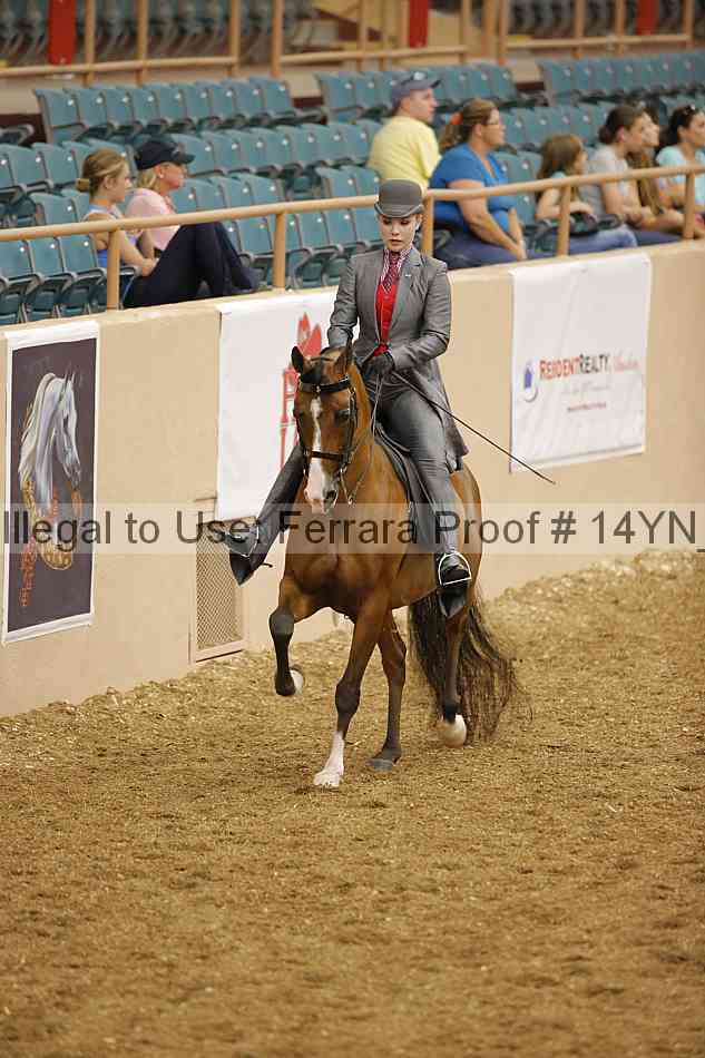 Proof 14yn_04679
