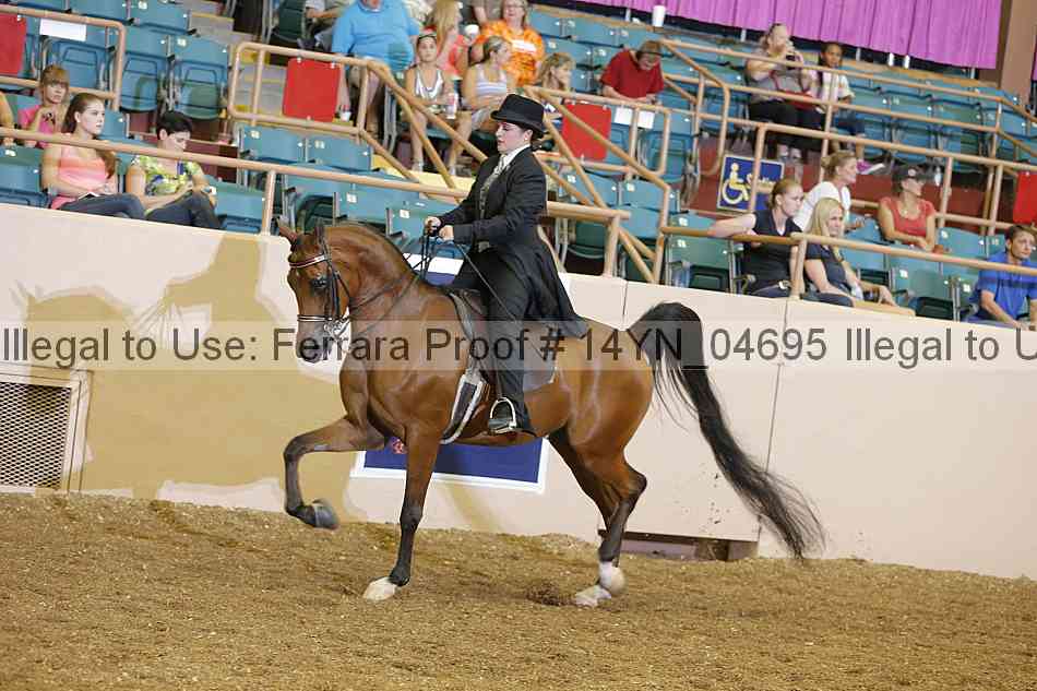 Proof 14yn_04695