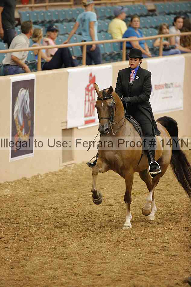Proof 14yn_04696