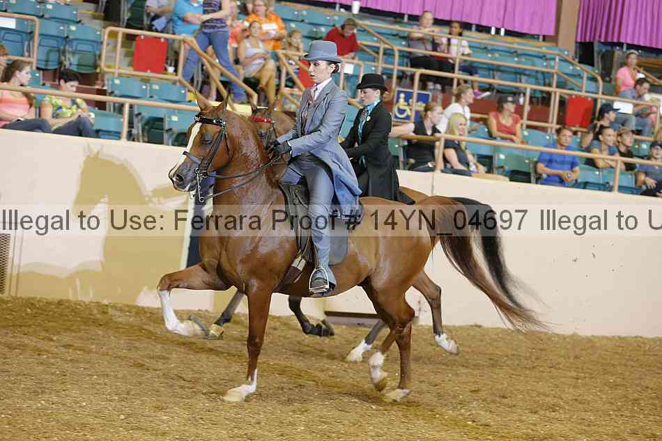 Proof 14yn_04697
