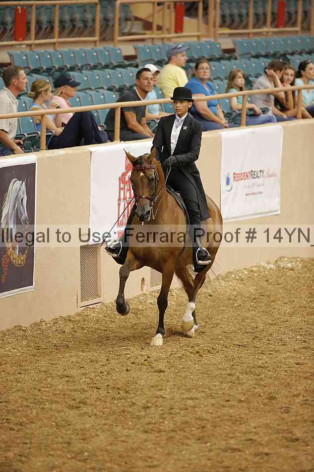 Proof 14yn_04699