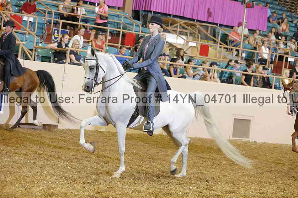 Proof 14yn_04701