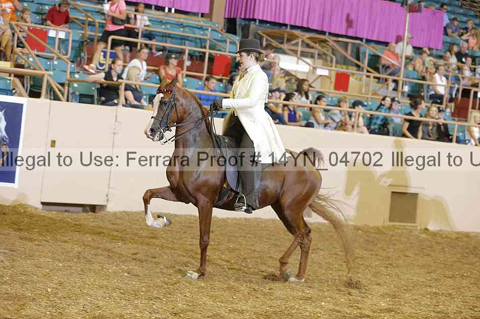 Proof 14yn_04702