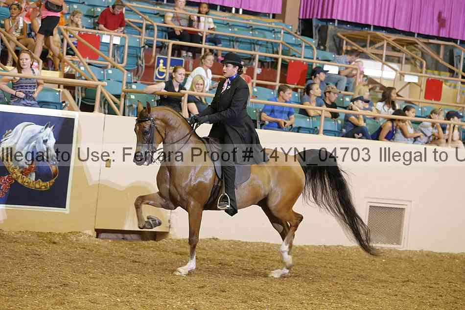 Proof 14yn_04703
