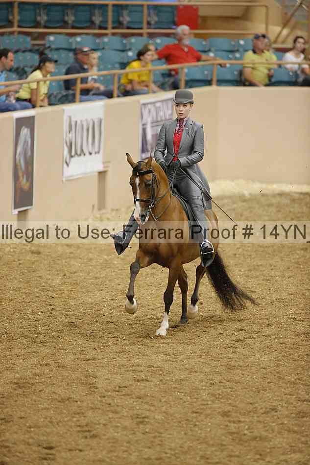 Proof 14yn_04704