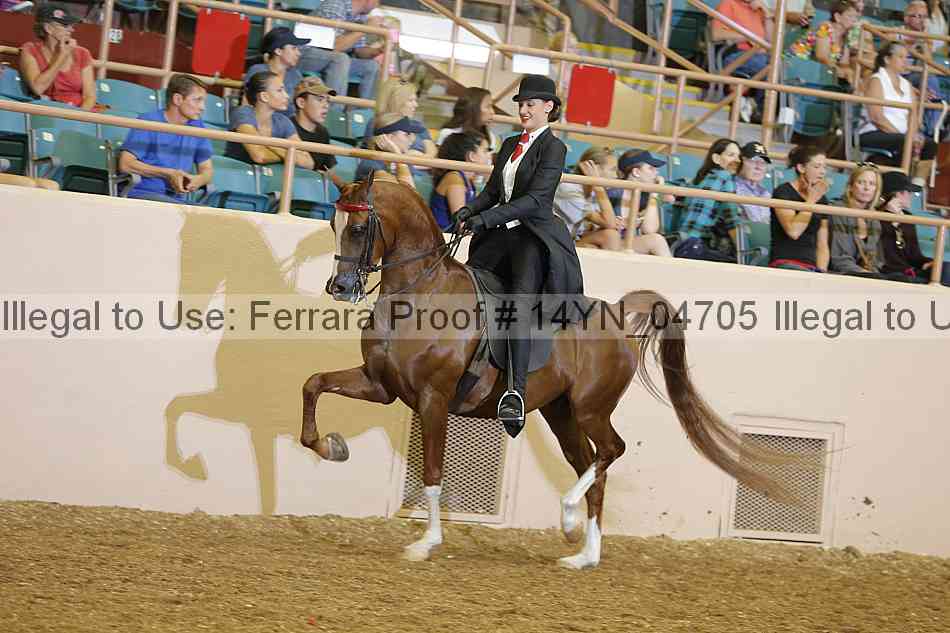 Proof 14yn_04705
