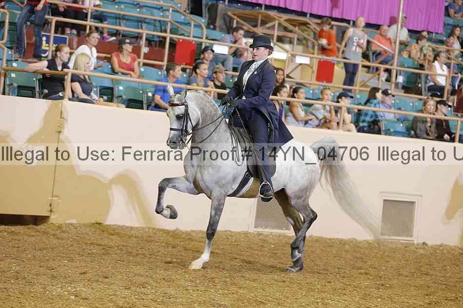 Proof 14yn_04706