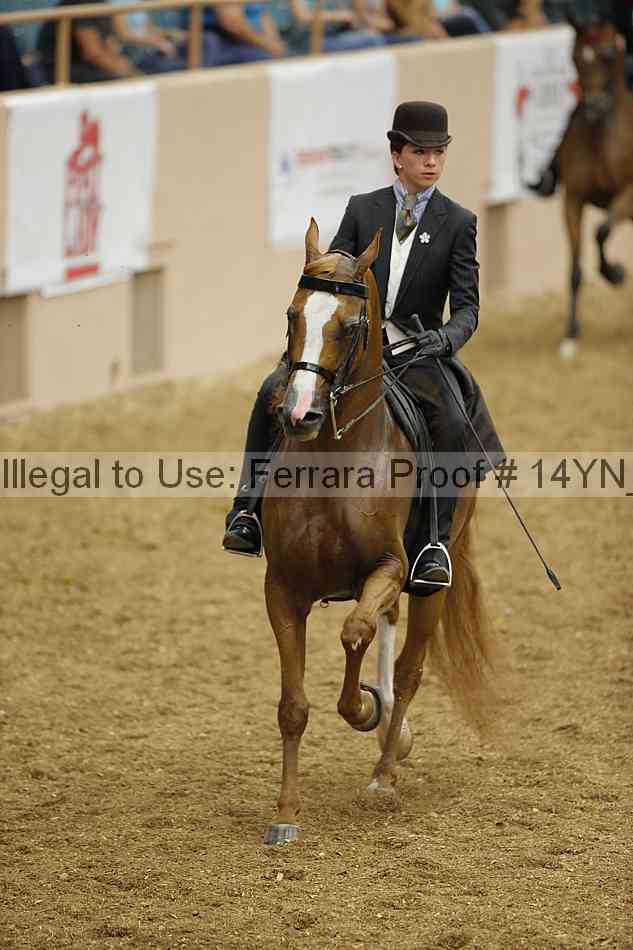 Proof 14yn_04707
