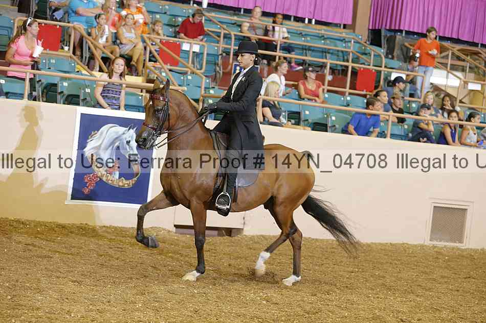 Proof 14yn_04708