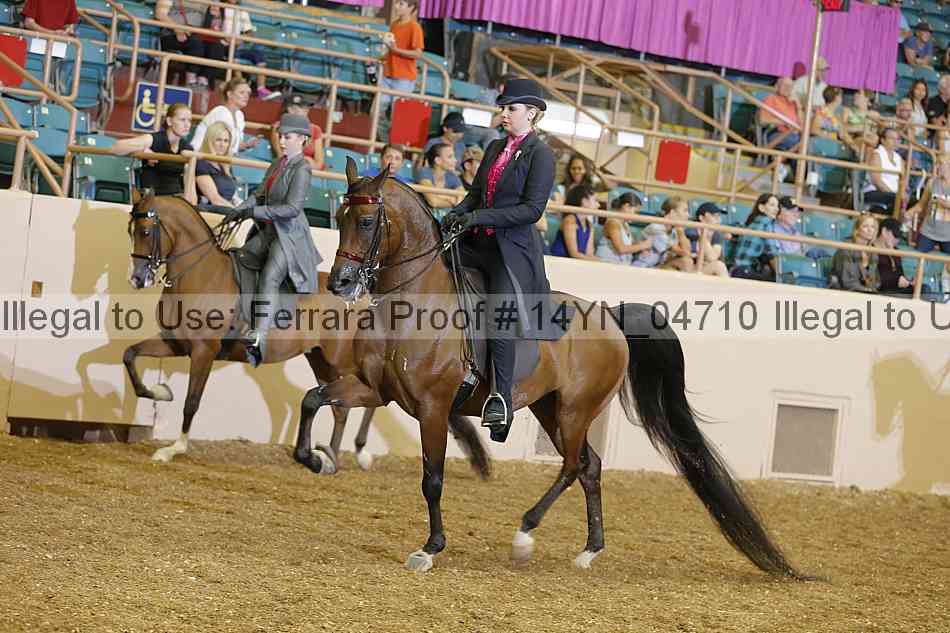 Proof 14yn_04710