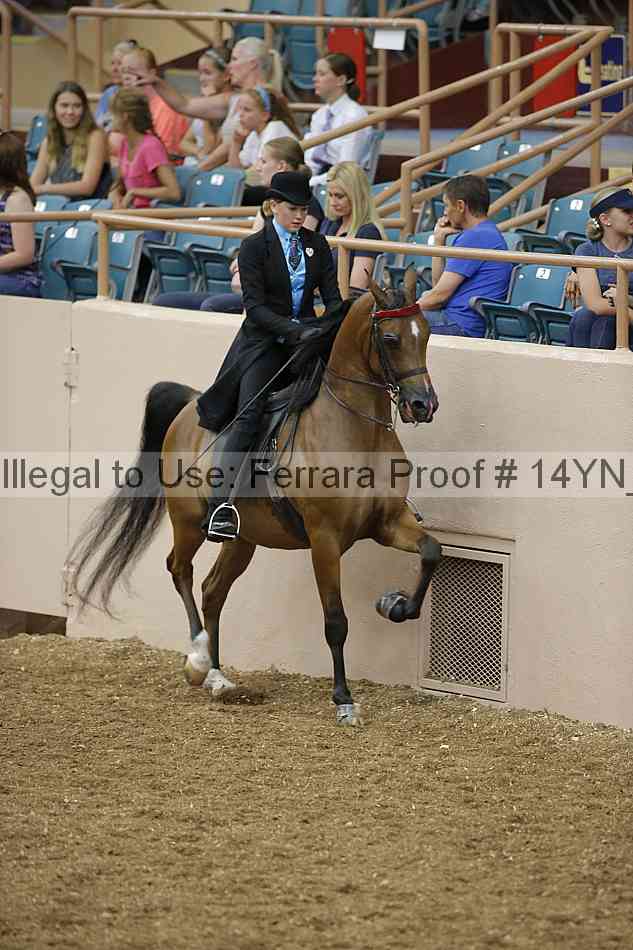 Proof 14yn_04719