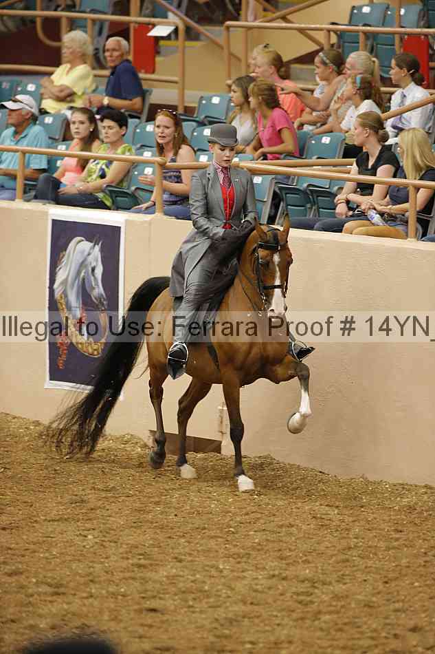 Proof 14yn_04721