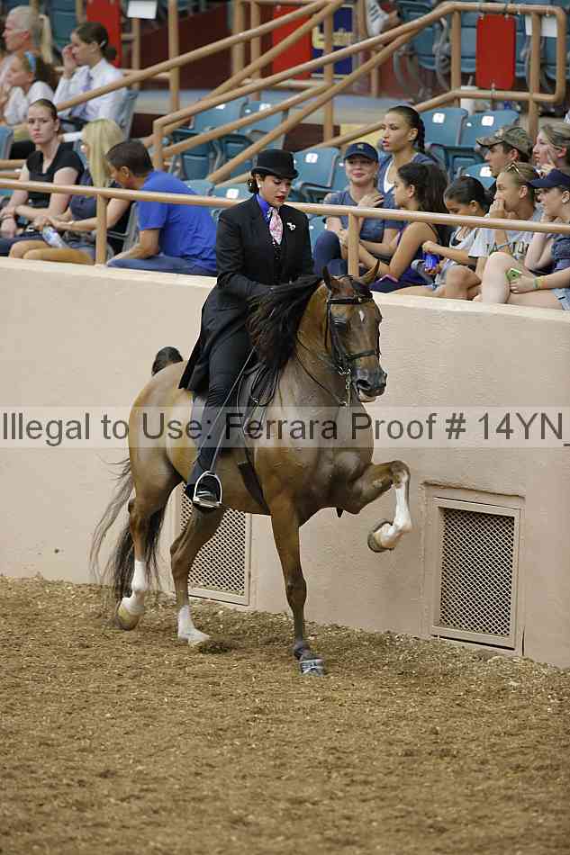 Proof 14yn_04723