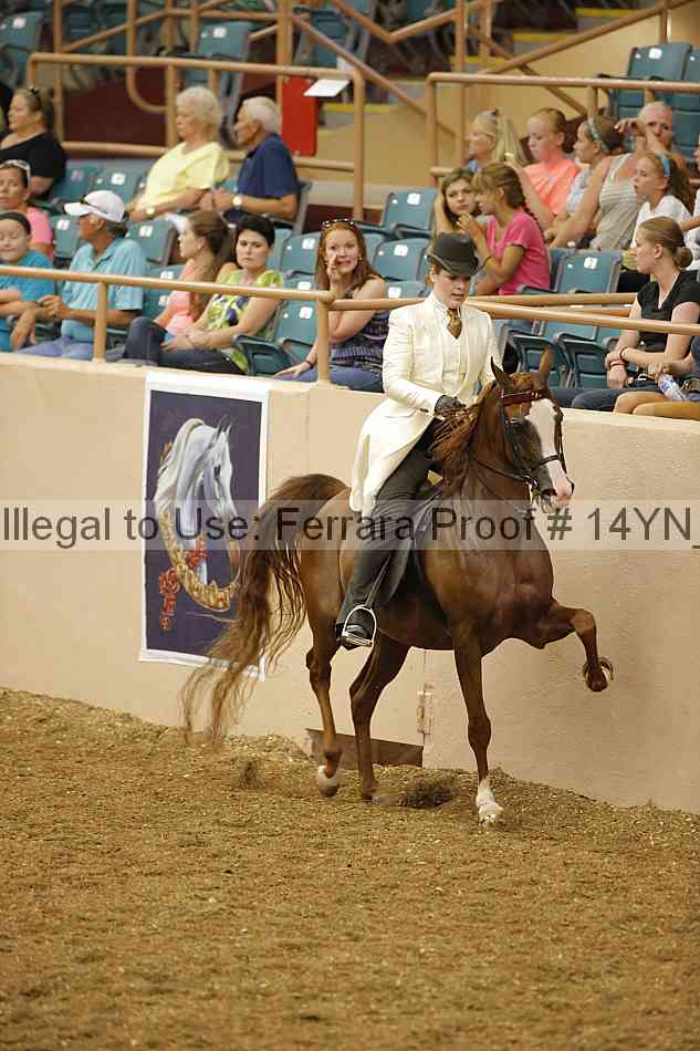 Proof 14yn_04727