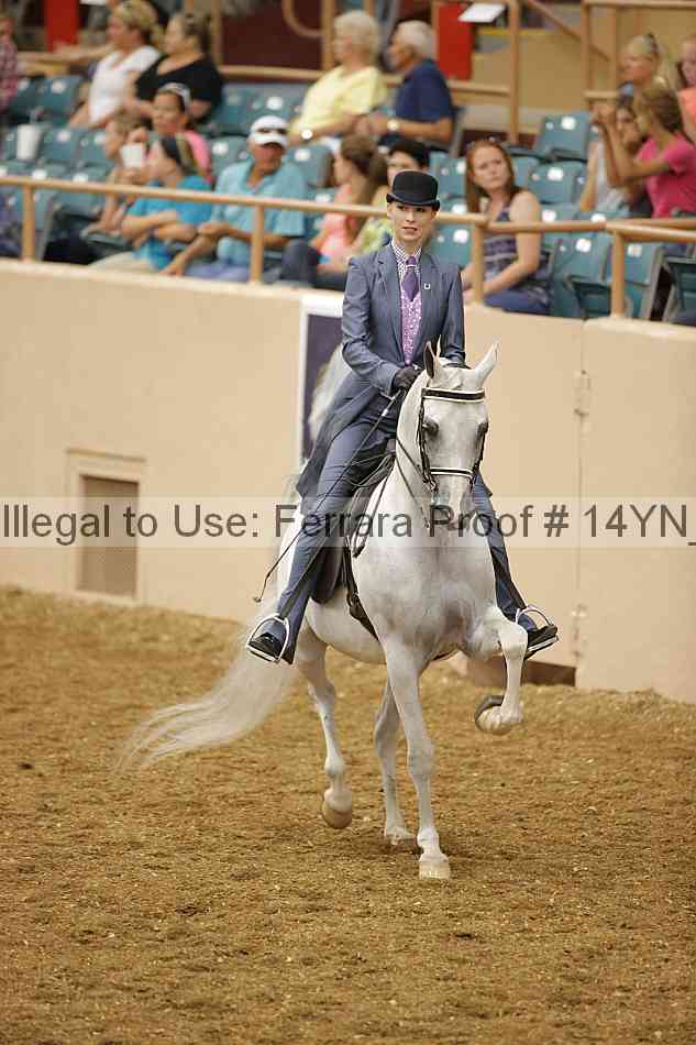Proof 14yn_04728