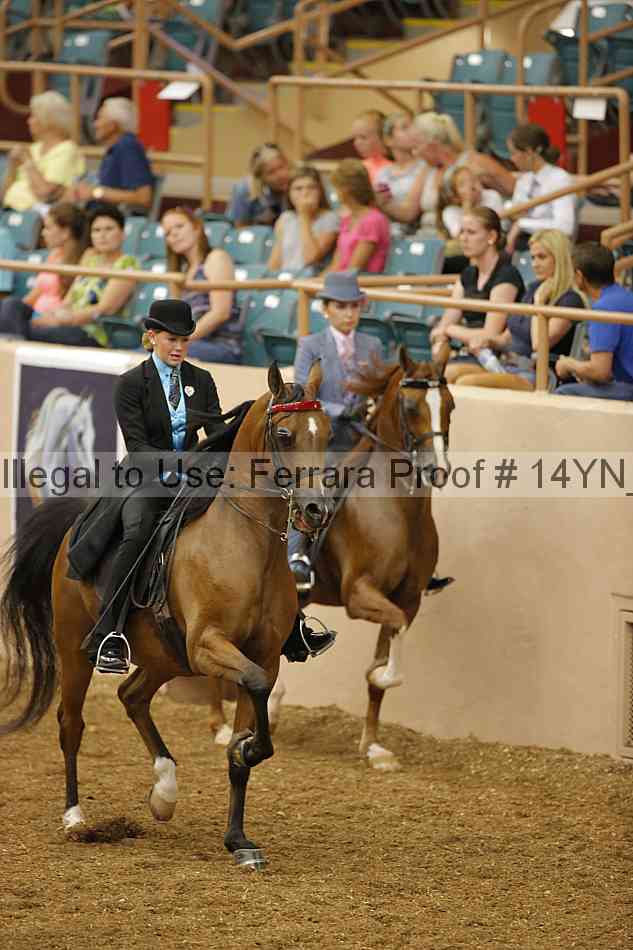 Proof 14yn_04729