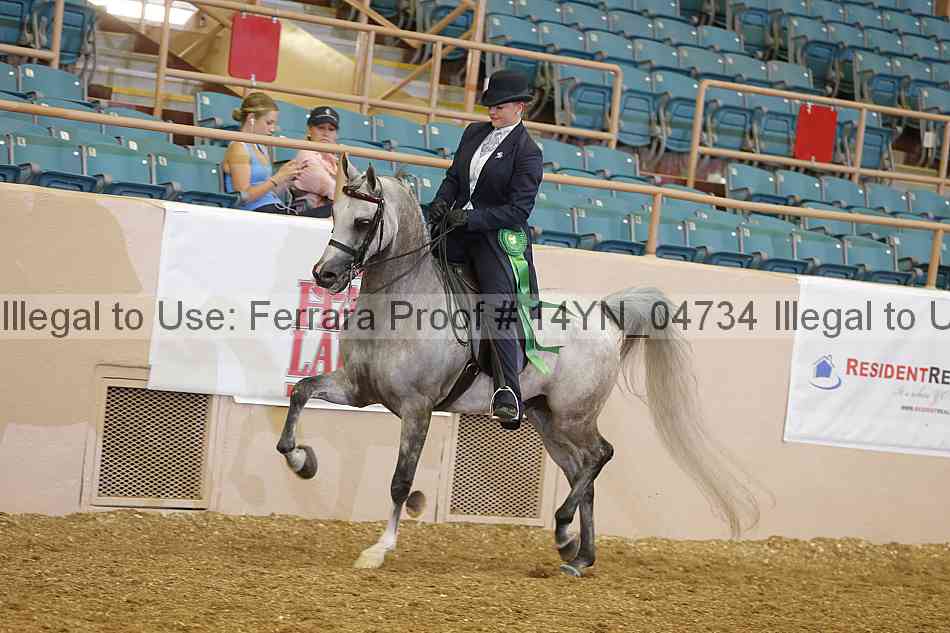 Proof 14yn_04734