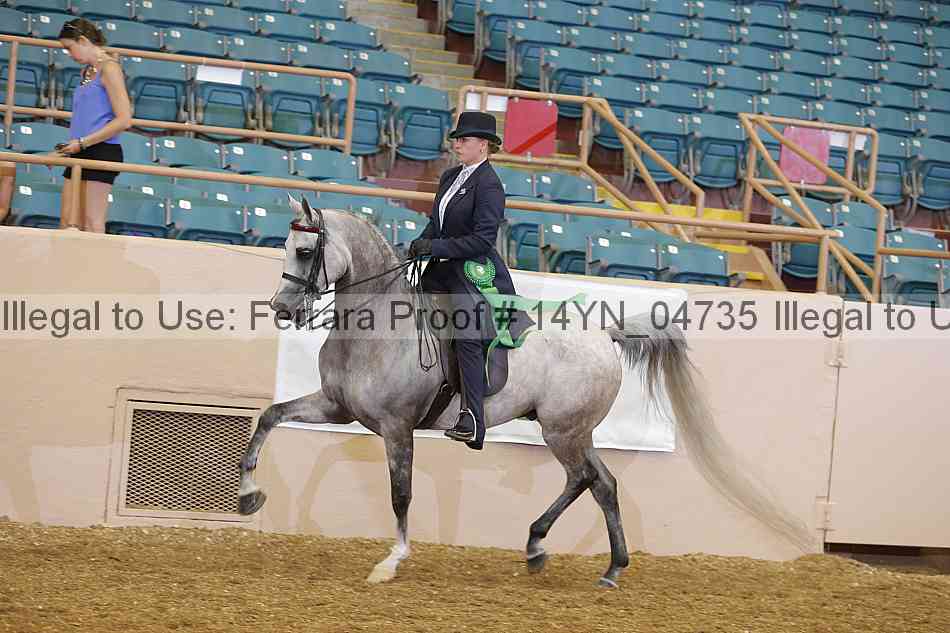 Proof 14yn_04735