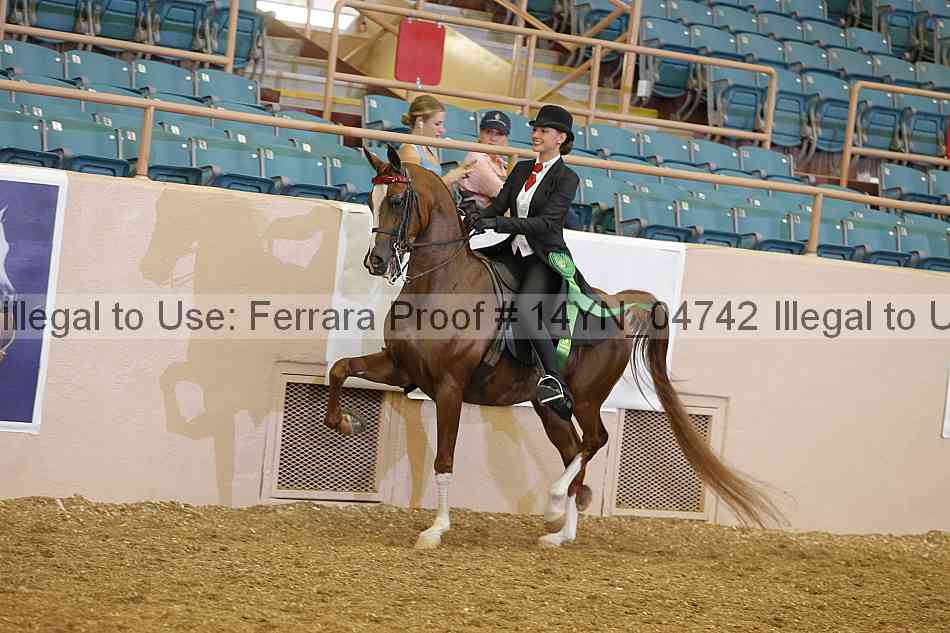 Proof 14yn_04742