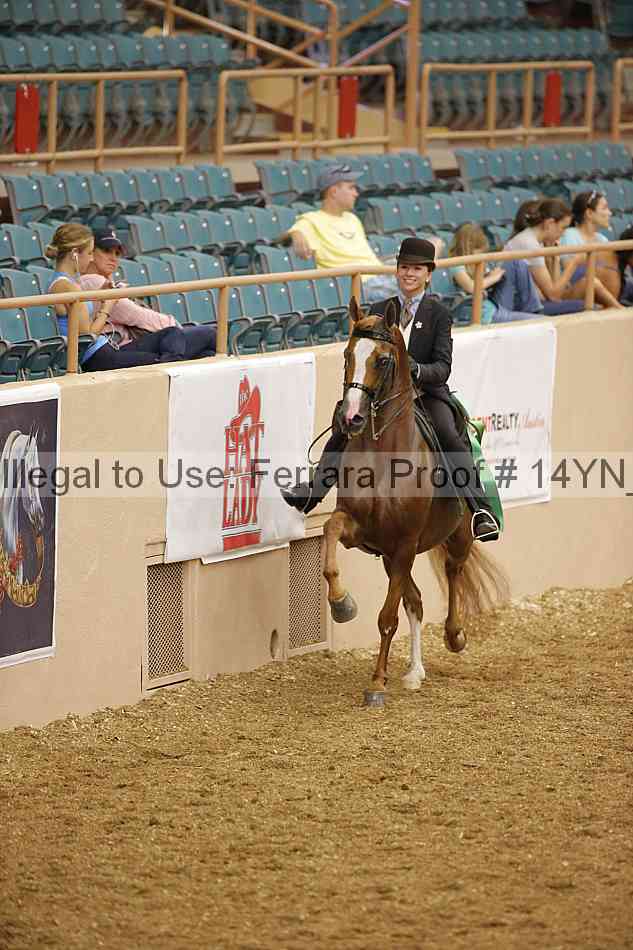 Proof 14yn_04746