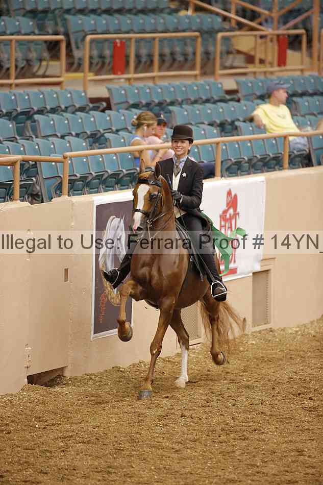 Proof 14yn_04747