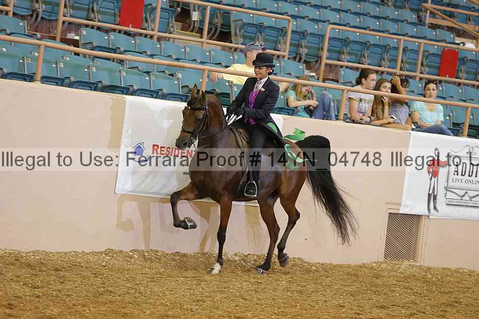 Proof 14yn_04748