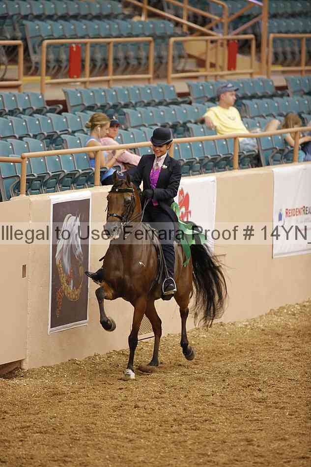 Proof 14yn_04751