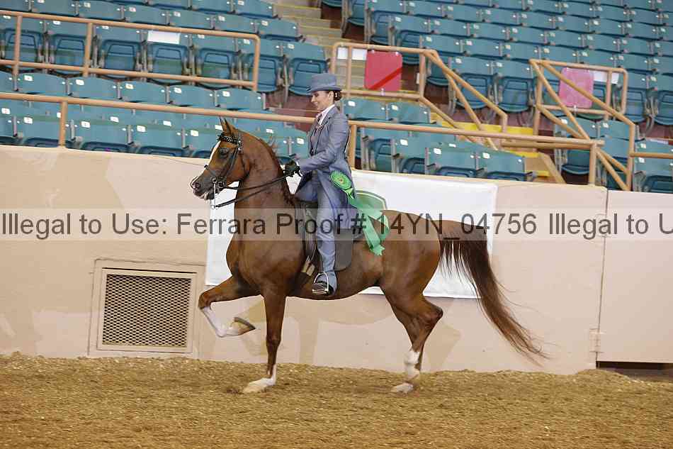 Proof 14yn_04756