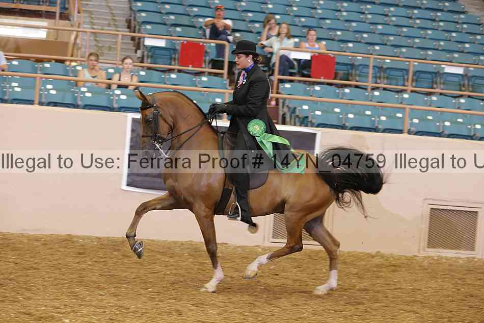 Proof 14yn_04759