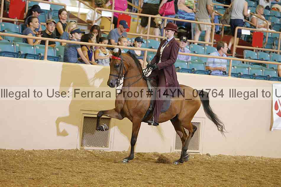 Proof 14yn_04764