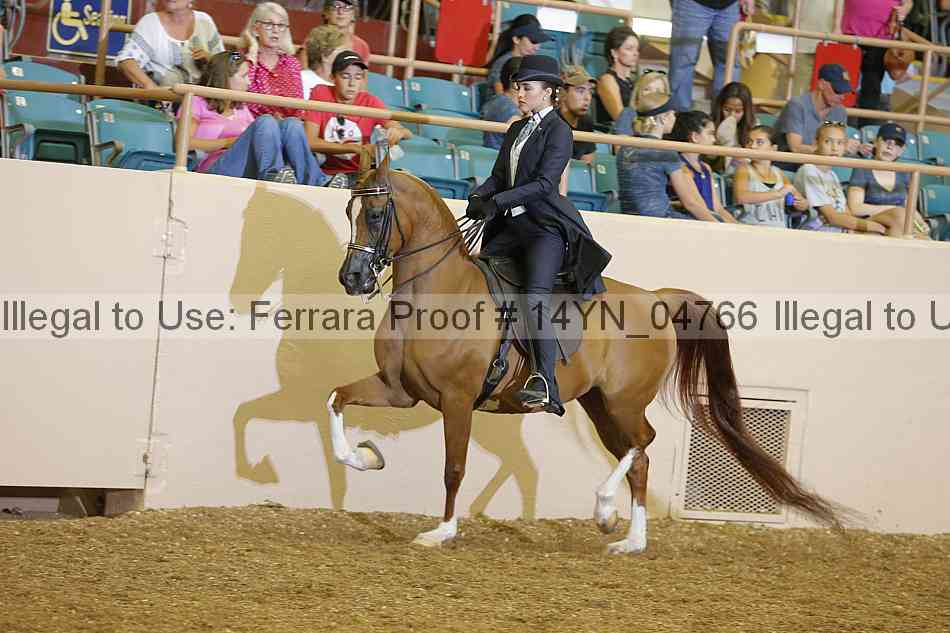 Proof 14yn_04766