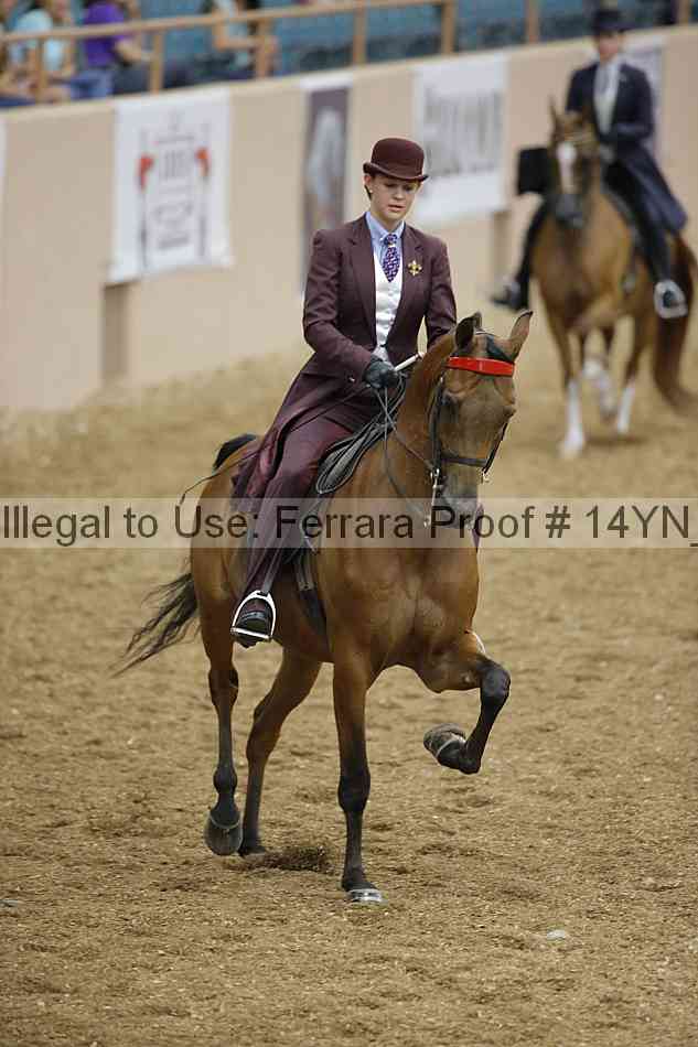 Proof 14yn_04770