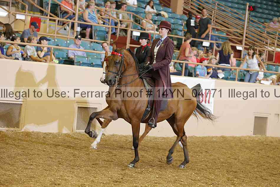 Proof 14yn_04771