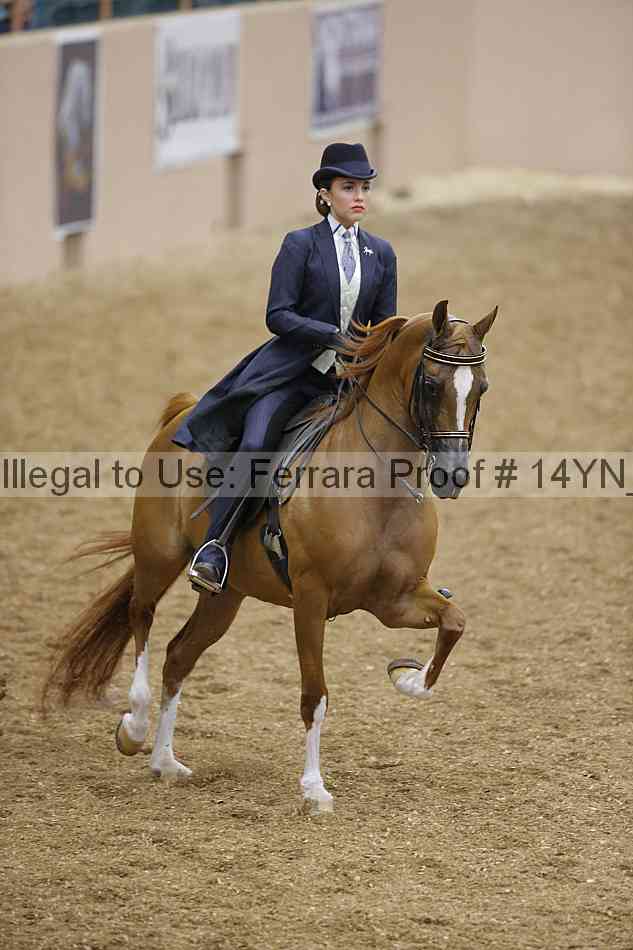 Proof 14yn_04772