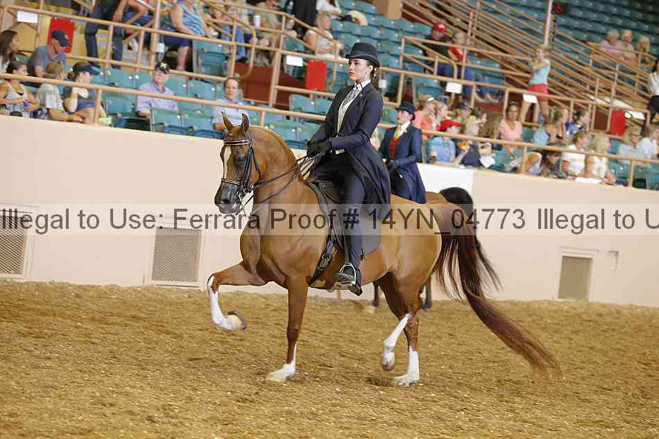 Proof 14yn_04773